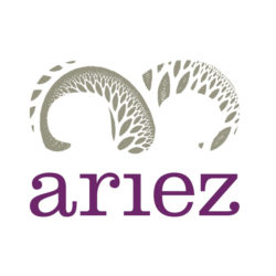 Ariez Media Hub